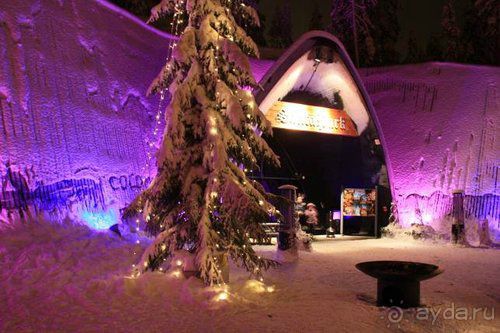 Олени, хаски и Полярный круг