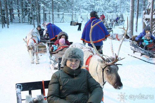 Олени, хаски и Полярный круг