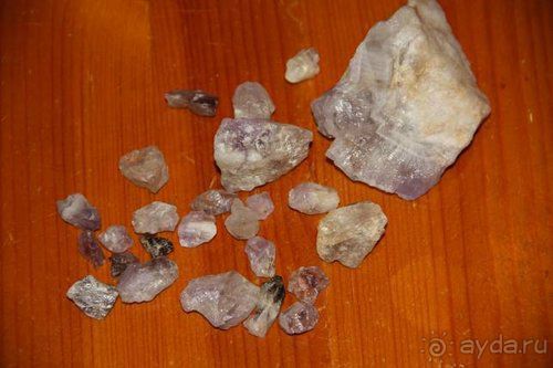 Олени, хаски и Полярный круг