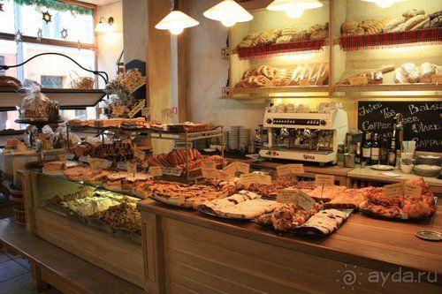 Олени, хаски и Полярный круг