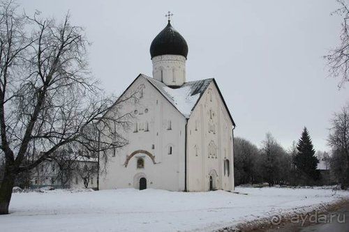 Олени, хаски и Полярный круг