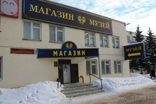 Олени, хаски и Полярный круг