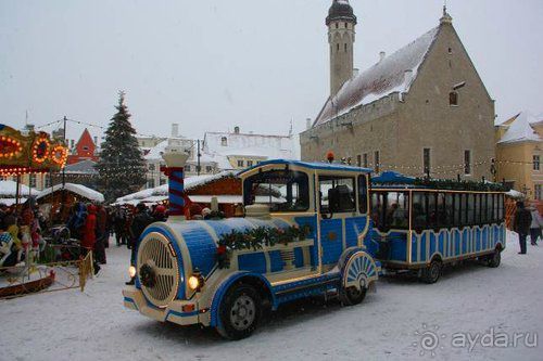 Олени, хаски и Полярный круг