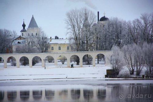 Олени, хаски и Полярный круг