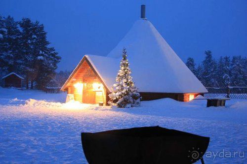 Олени, хаски и Полярный круг