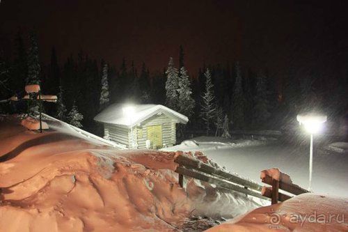 Олени, хаски и Полярный круг