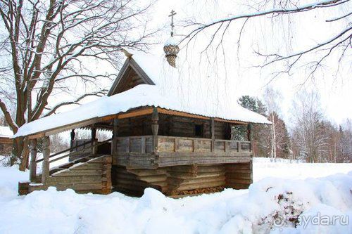 Олени, хаски и Полярный круг