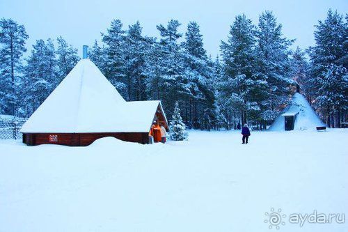 Олени, хаски и Полярный круг