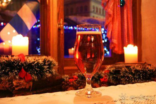 Олени, хаски и Полярный круг