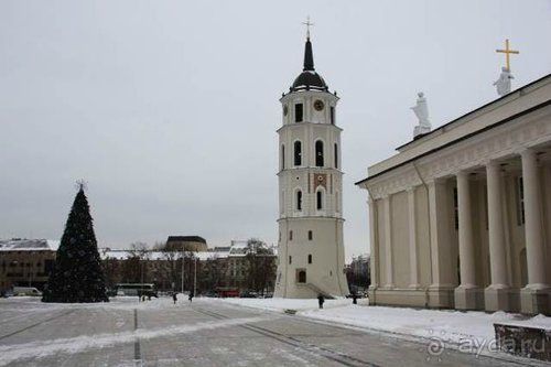 Олени, хаски и Полярный круг