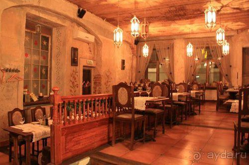 Олени, хаски и Полярный круг