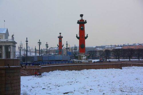 Олени, хаски и Полярный круг