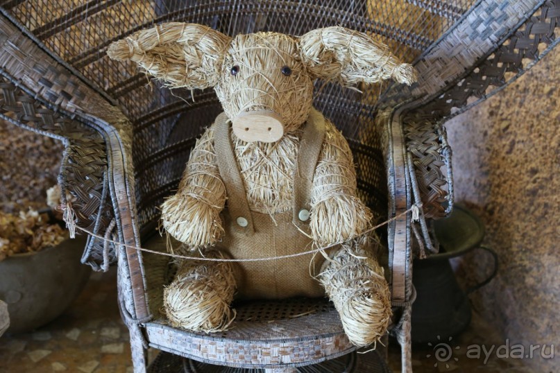 фото Starhotel Savoia Excelsior