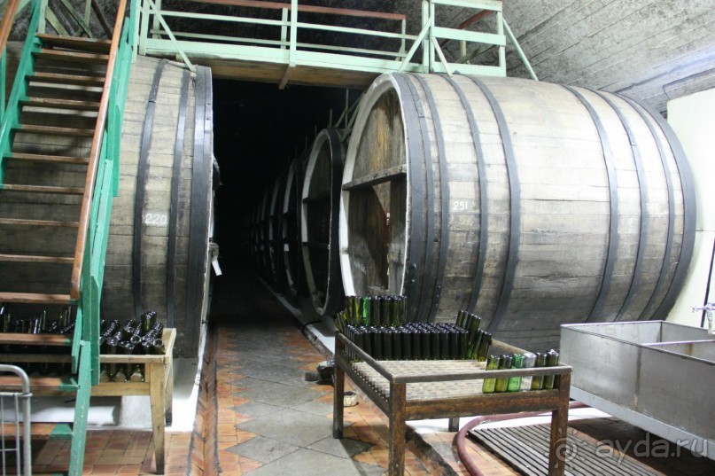 Вдоль Черного моря с заходом в День Дурака, часть 2.