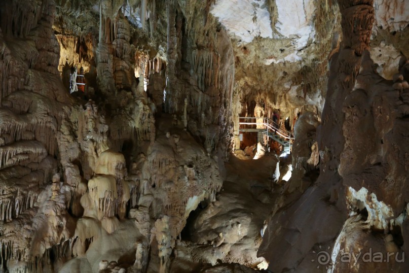 фото Anthemus Sea Beach Hotel & Spa