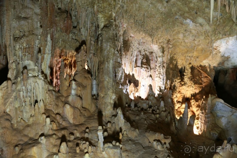 фото Anthemus Sea Beach Hotel & Spa