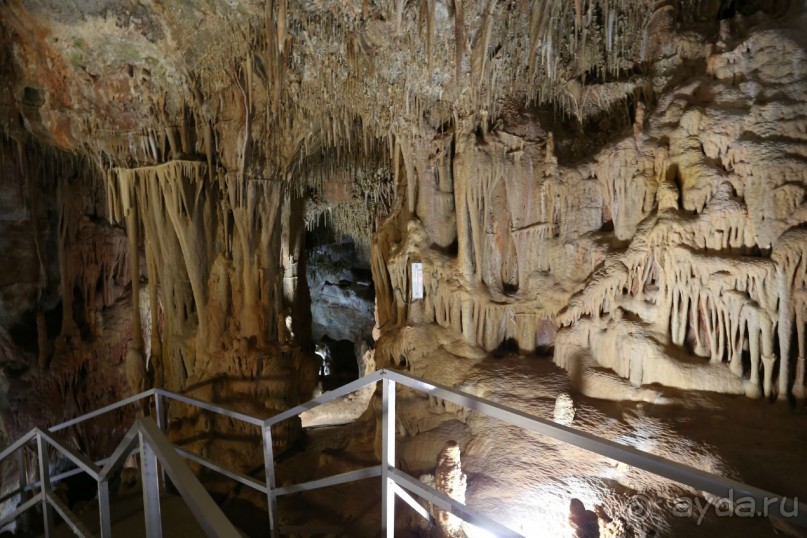 фото Anthemus Sea Beach Hotel & Spa