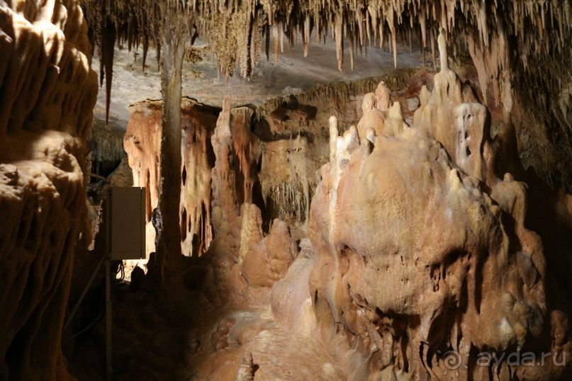 фото Anthemus Sea Beach Hotel & Spa