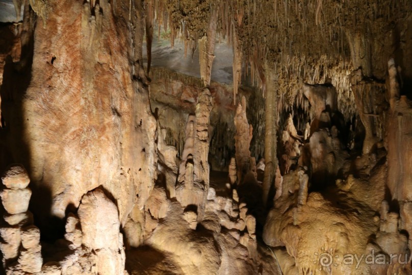 фото Anthemus Sea Beach Hotel & Spa