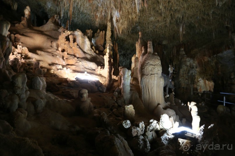 фото Никити