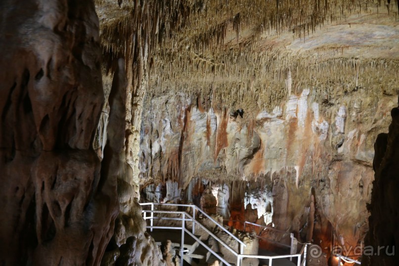 фото Никити