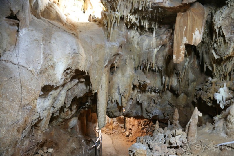 фото Никити