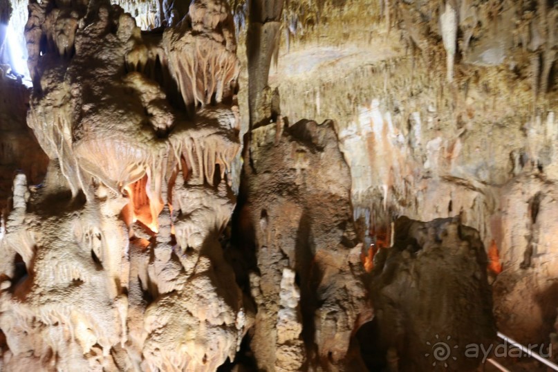 фото Никити