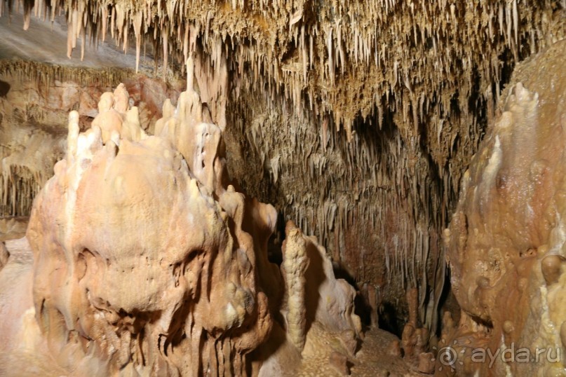 фото Anthemus Sea Beach Hotel & Spa