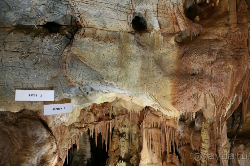 фото Anthemus Sea Beach Hotel & Spa