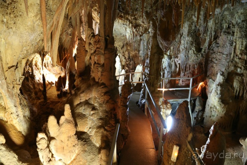 фото Anthemus Sea Beach Hotel & Spa