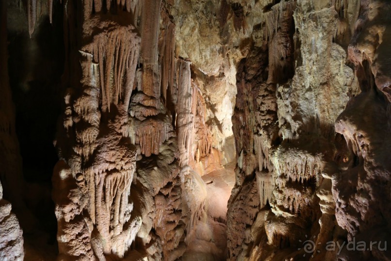 фото Anthemus Sea Beach Hotel & Spa