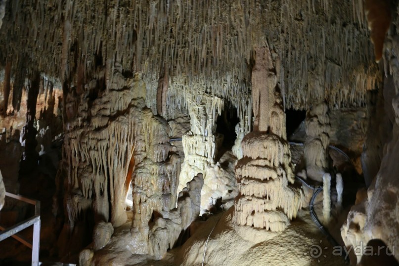 фото Никити