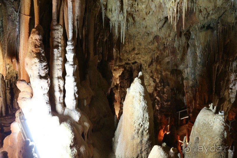 фото Anthemus Sea Beach Hotel & Spa