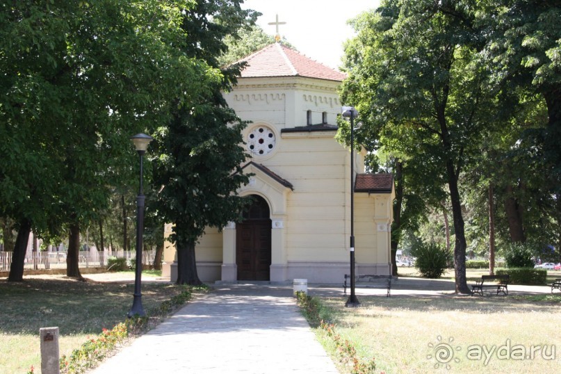 фото Златибора