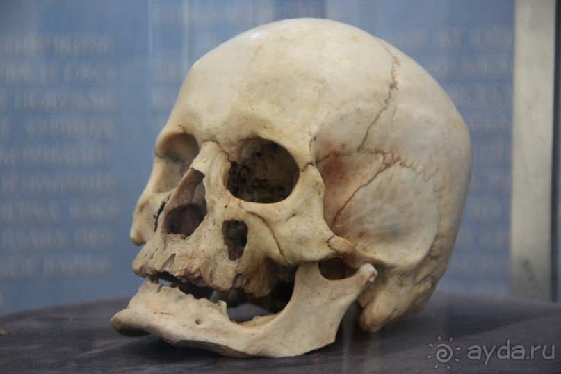 фото Златибора