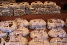 Альбом отзыва "Рождественские ярмарки Европы"