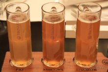 Альбом отзыва "Рождественские ярмарки Европы"