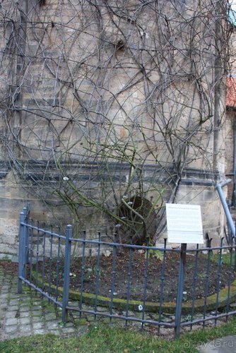 Рождественские ярмарки Европы