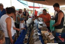 Балканские дневники: Греция —Македония —Сербия—Венгрия—Украина