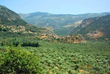 Балканские дневники: Греция —Македония —Сербия—Венгрия—Украина