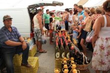 Балканские дневники: Греция —Македония —Сербия—Венгрия—Украина