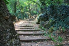 Балканские дневники: Греция —Македония —Сербия—Венгрия—Украина