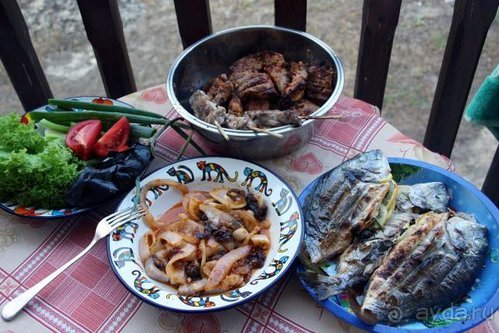 Балканские дневники: Греция —Македония —Сербия—Венгрия—Украина