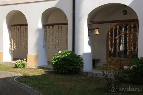 Балканские дневники: Греция —Македония —Сербия—Венгрия—Украина