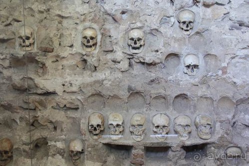 Балканские дневники: Греция —Македония —Сербия—Венгрия—Украина