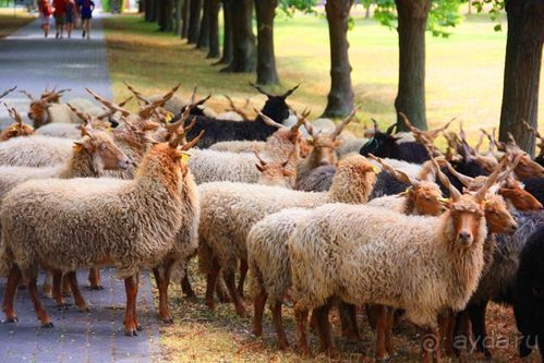 Балканские дневники: Греция —Македония —Сербия—Венгрия—Украина