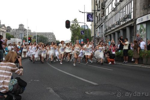 Балканские дневники: Греция —Македония —Сербия—Венгрия—Украина