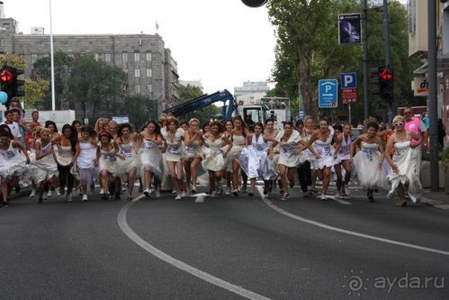 Балканские дневники: Греция —Македония —Сербия—Венгрия—Украина