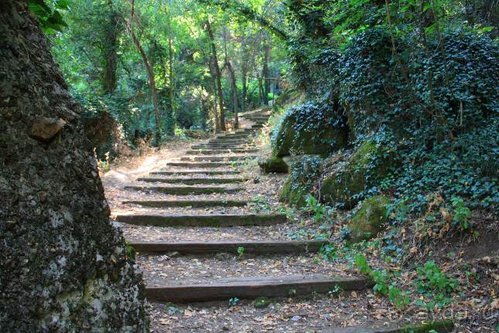 Балканские дневники: Греция —Македония —Сербия—Венгрия—Украина