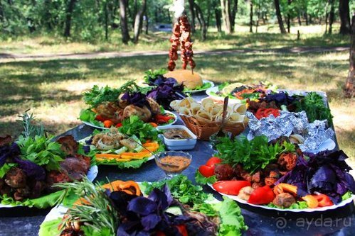 Балканские дневники: Греция —Македония —Сербия—Венгрия—Украина